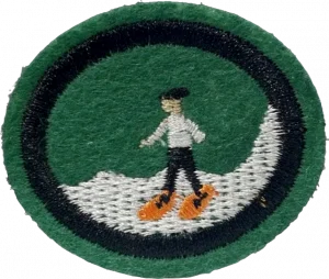 Insignia de la especialidad Senderismo con raquetas de nieve (División Sudamericana)