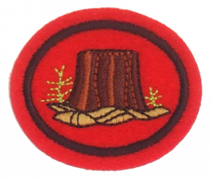 Insignia de la especialidad Silvicultura