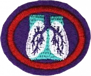 Insignia de la especialidad Sistema respiratorio