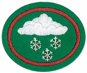 Insignia de la especialidad Supervivencia en clima frío