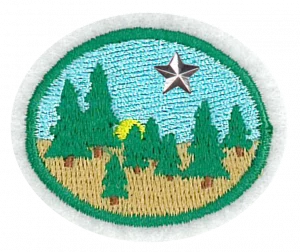 Insignia de la especialidad Taiga – Avanzado