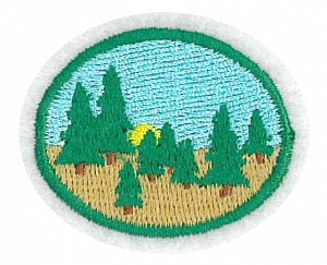 Insignia de la especialidad Taiga