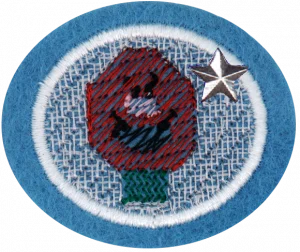 Insignia de la especialidad Tejido en malla plástica – Avanzado
