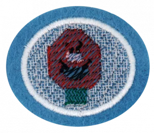 Insignia de la especialidad Tejido en malla plástica