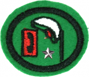 Insignia de la especialidad Telecartofilia – Avanzado