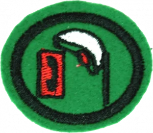 Insignia de la especialidad Telecartofilia