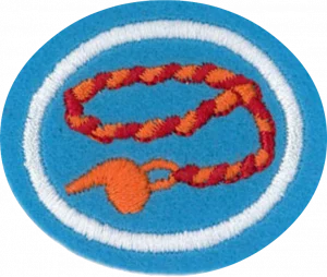 Insignia de la especialidad Trenzado