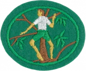 Insignia de la especialidad Trepar árboles