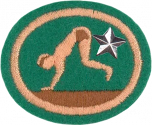 Insignia de la especialidad Acrobacias y Equilibrio 2