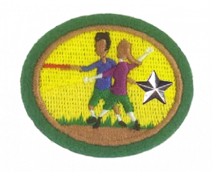 Insignia de la especialidad Ultimate – Avanzado