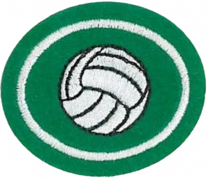 Insignia de la especialidad Voleibol